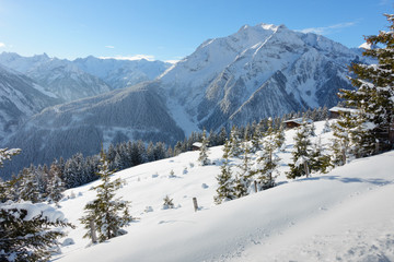Fototapeta na wymiar Almhütten im Winterwald