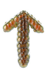 bubbles in shape of an arrow up on white background