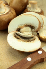 champignons de paris