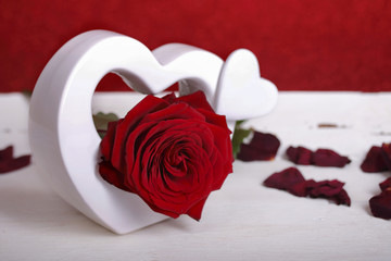 herz mit rose