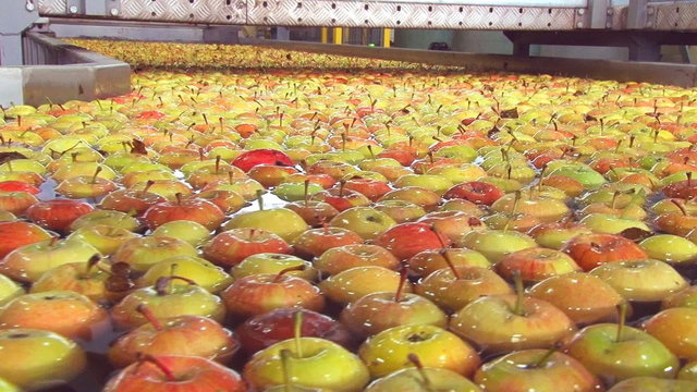 Apples in a production