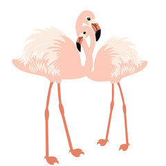 Naklejka premium Pair of flamingos