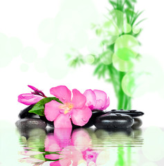 Obraz na płótnie Canvas spa concept with zen stones and flower