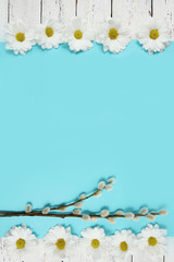 Obraz premium spring flowers and pussy willow twigs on wood background