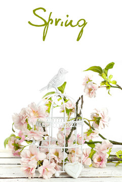 spring flowers in  birdcage