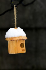 Bird house in the snow