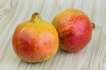 Yellow Pomegranet