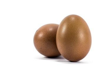 The Two eggs