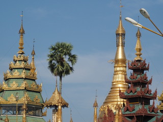 Fototapeta premium Shwedagon, simbolo de Yangón