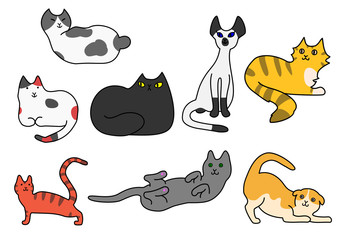 猫のポーズいろいろ