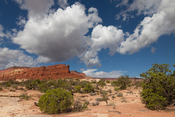 Fototapeta premium UT_Canyonlands National Park-The Maze District