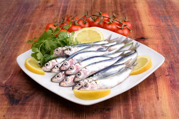 sarde - sardines - сардины - sardinas -