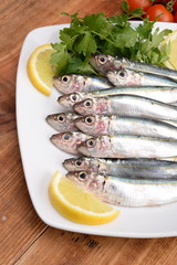sarde - sardines - сардины - sardinas -