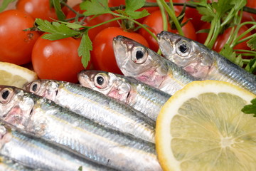 sarde - sardines - сардины - sardinas -