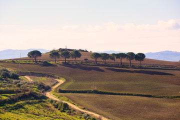 Fototapeta premium Leonforte countryside
