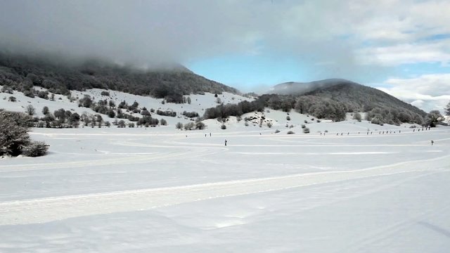 Single File Skiers And Winter Scenery