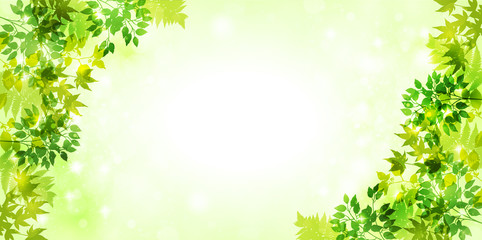 Obraz premium 葉 新緑 背景