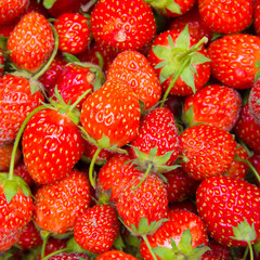 strawberries top view