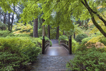 Moon Bridge at Japanese Garden