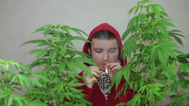 Young man in hoodie lighting up and smoking Marijuana joint.