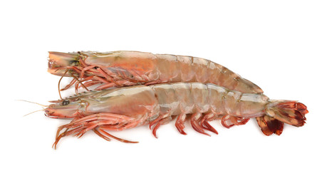 Raw shrimp
