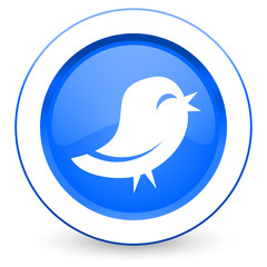 twitter icon