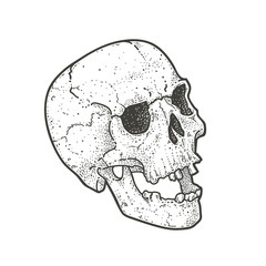 Dot Work Skull