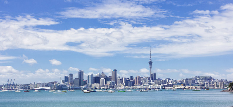 Wide view of Auckland, New Zealand
