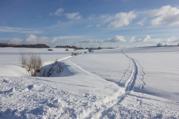 Obraz premium Loipe durch Winterlandschaft