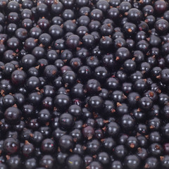 Currants