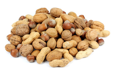 Close up of fresh walnuts and hezelnuts against white background
