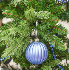 blue sphere on a fir-tree