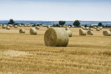 Strohballen auf gem&auml;htem Acker 00210