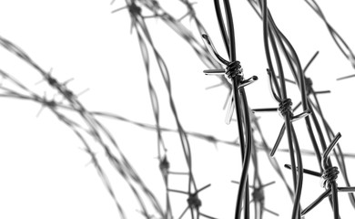 Barbed Wires on White Background.  Freedom or Isolation Concept