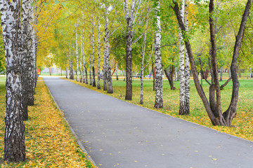Autumn park