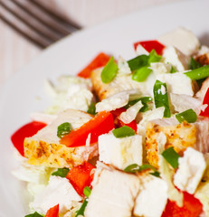 Vegetable salad with roasted chicken meat