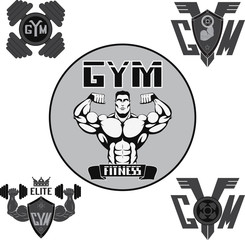 Vector set, gym