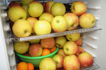 fridge filled with fruits