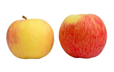 Yellow and Red Apples