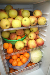 fruits in the fridge