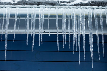 Icicles on the roof. Winter. Blue wooden background.