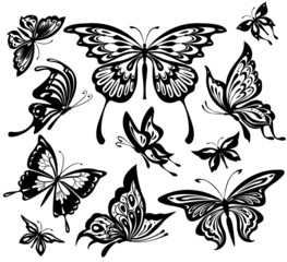 A set of black and white butterflies