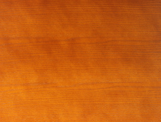 Fototapeta premium wood texture