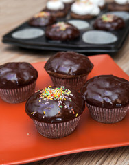 Chocolate Muffins