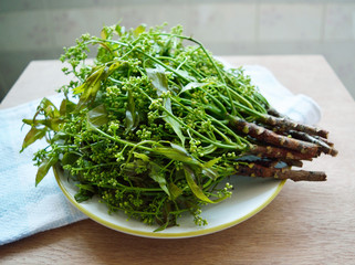 Neem leaves and flower