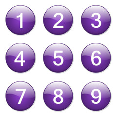 Numbers Counting Violet Vector Button Icon Design Set