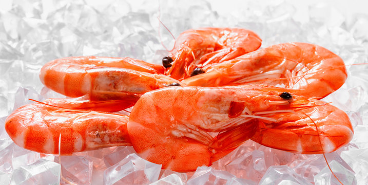 Prawns on Ice