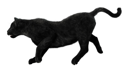 Black Panther
