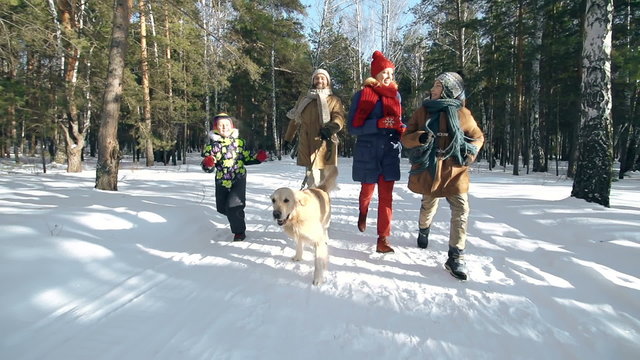 Slow motion dolly shot of cheerful Caucasian family with two kids and dog having fun running along park on sunny winter day