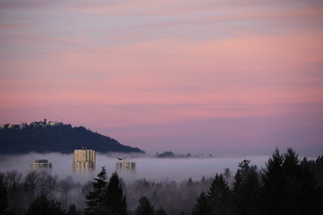 High mountain sunrise fog